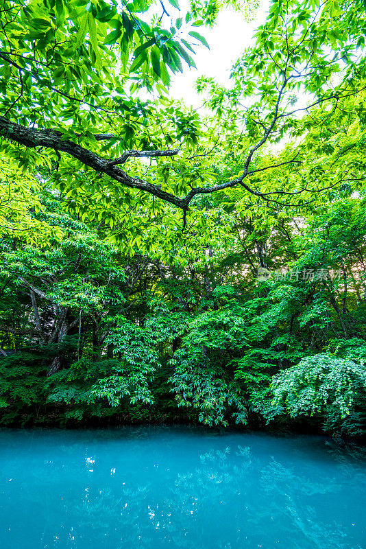轻井泽(Kumoba pond) in轻井泽(Karuizawa) stock photo